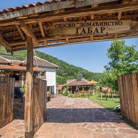 Villa Seosko Domacinstvo „Gabar” à Custica Extérieur photo