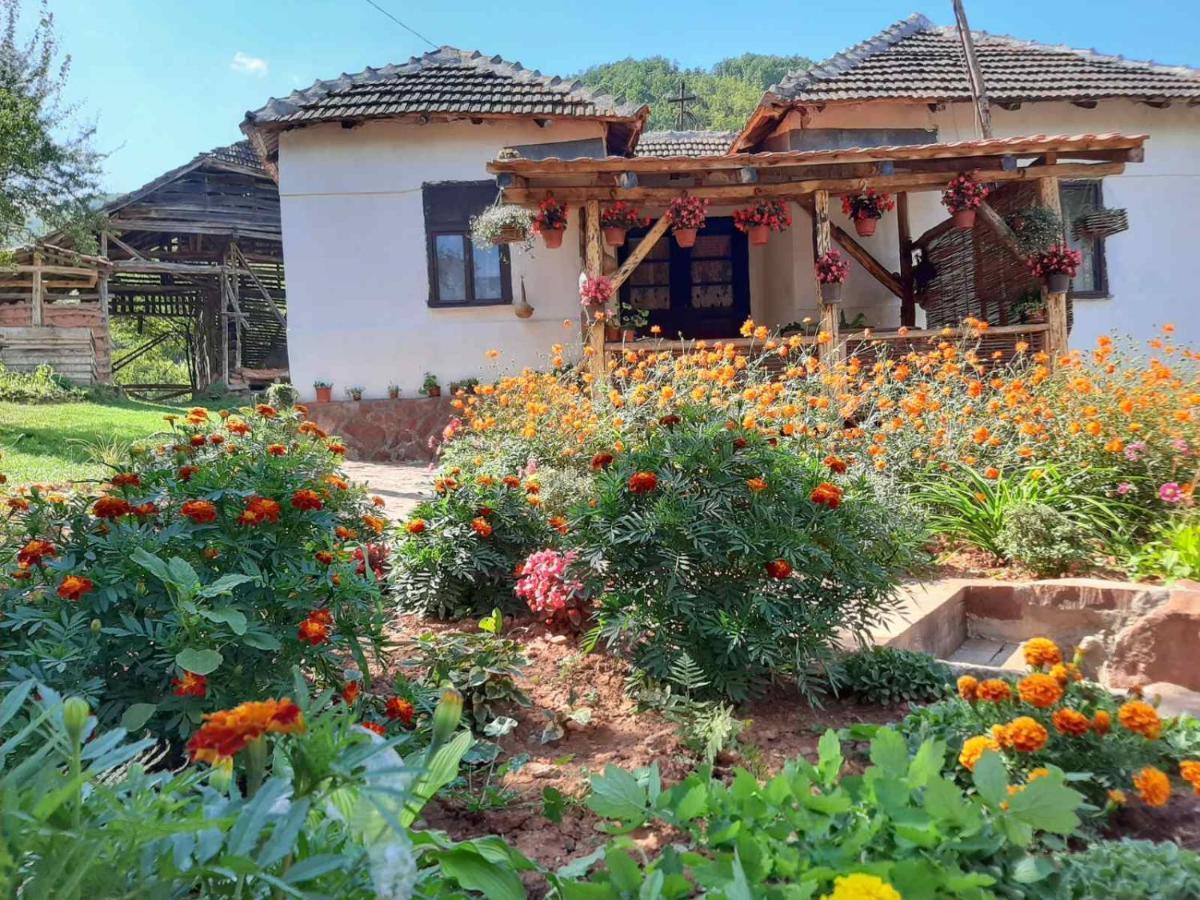 Villa Seosko Domacinstvo „Gabar” à Custica Extérieur photo