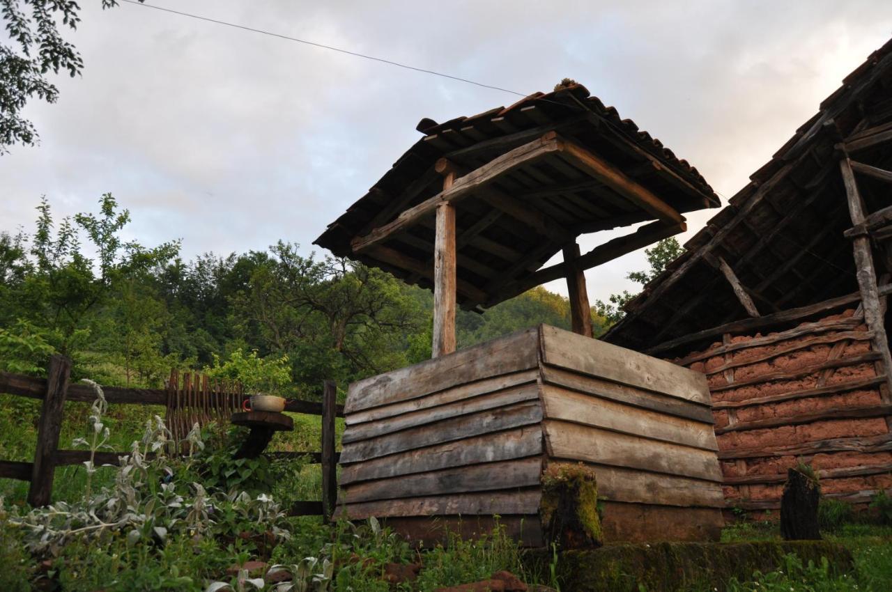 Villa Seosko Domacinstvo „Gabar” à Custica Extérieur photo