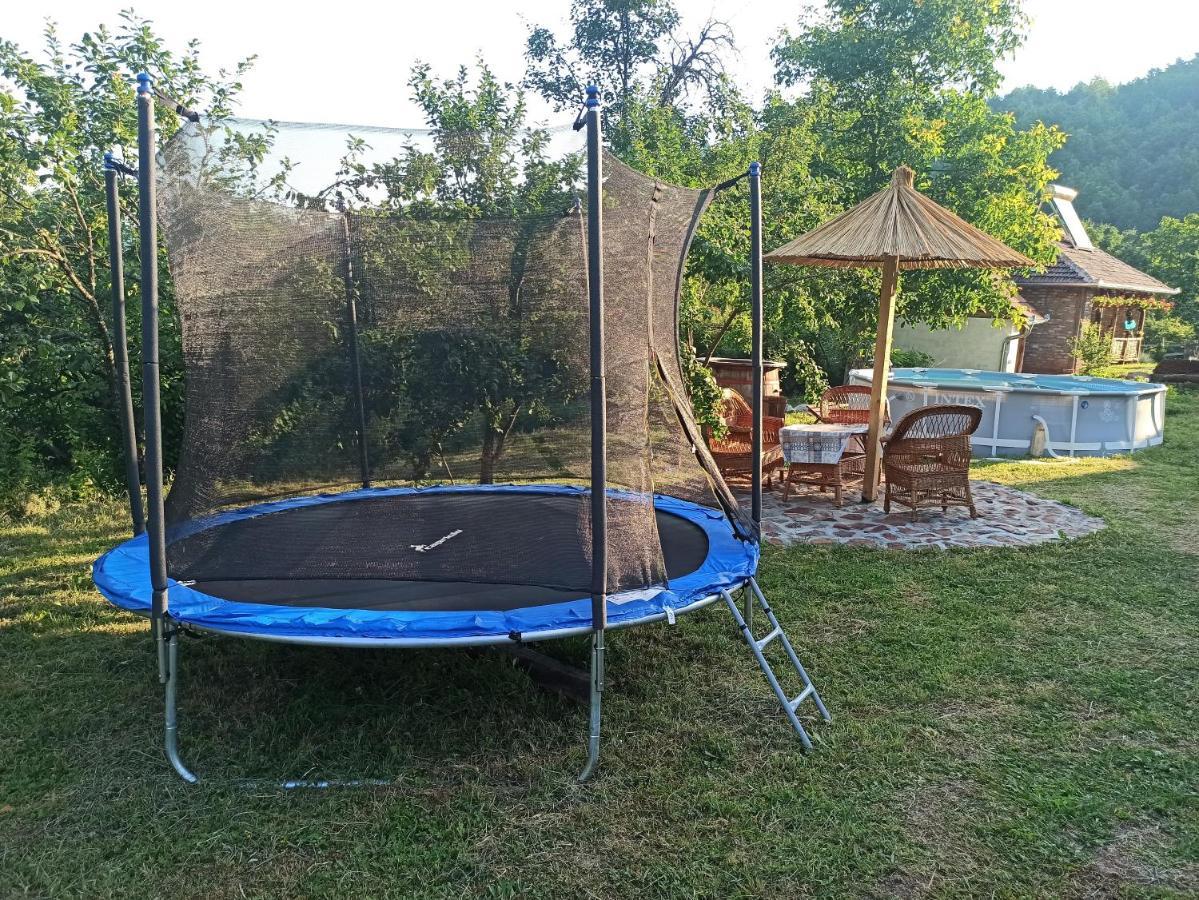 Villa Seosko Domacinstvo „Gabar” à Custica Extérieur photo