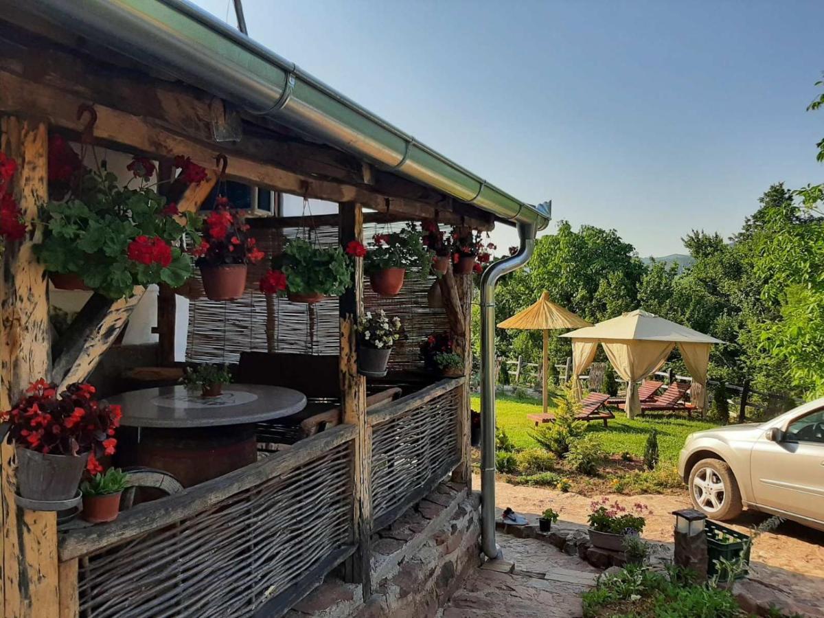 Villa Seosko Domacinstvo „Gabar” à Custica Extérieur photo