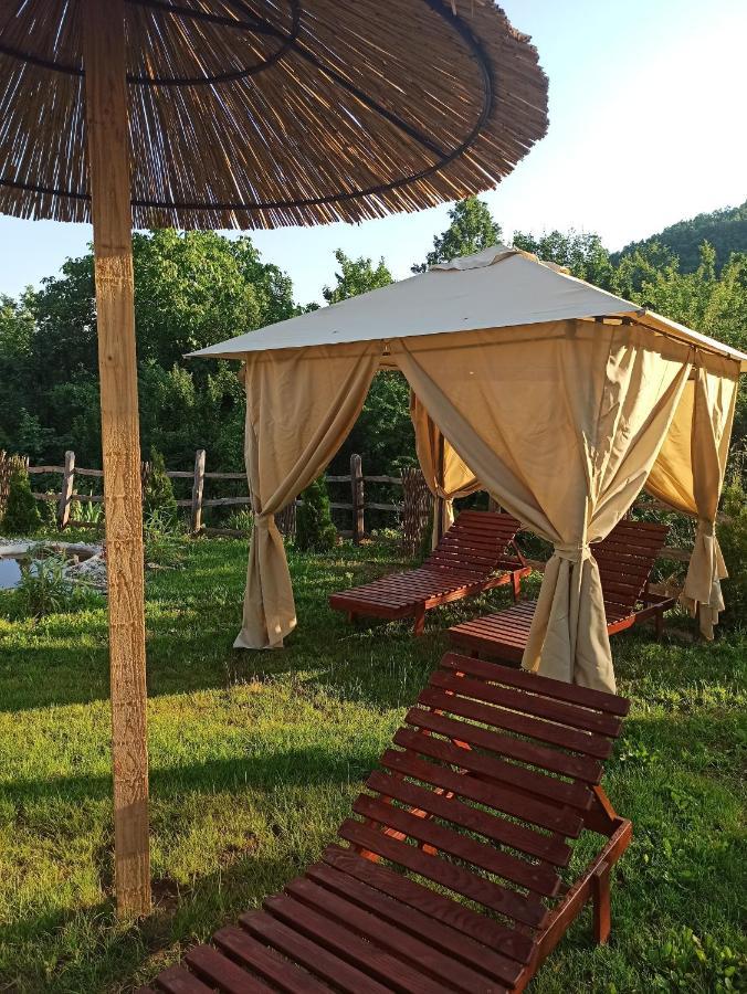 Villa Seosko Domacinstvo „Gabar” à Custica Extérieur photo