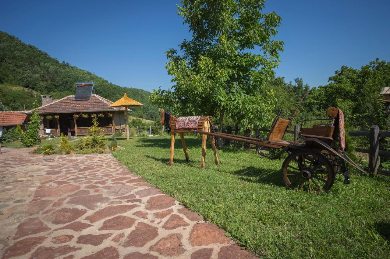 Villa Seosko Domacinstvo „Gabar” à Custica Extérieur photo