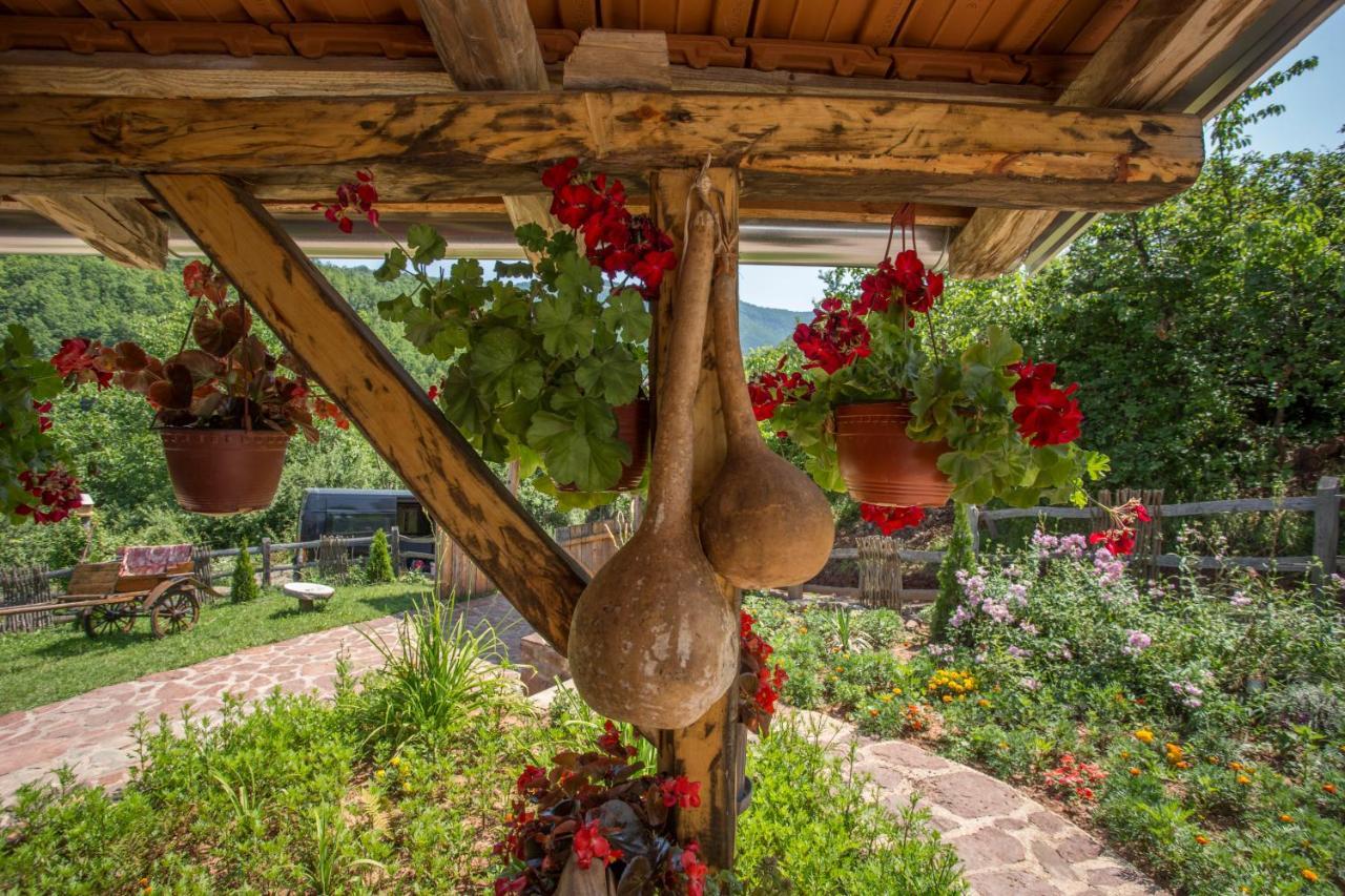 Villa Seosko Domacinstvo „Gabar” à Custica Extérieur photo