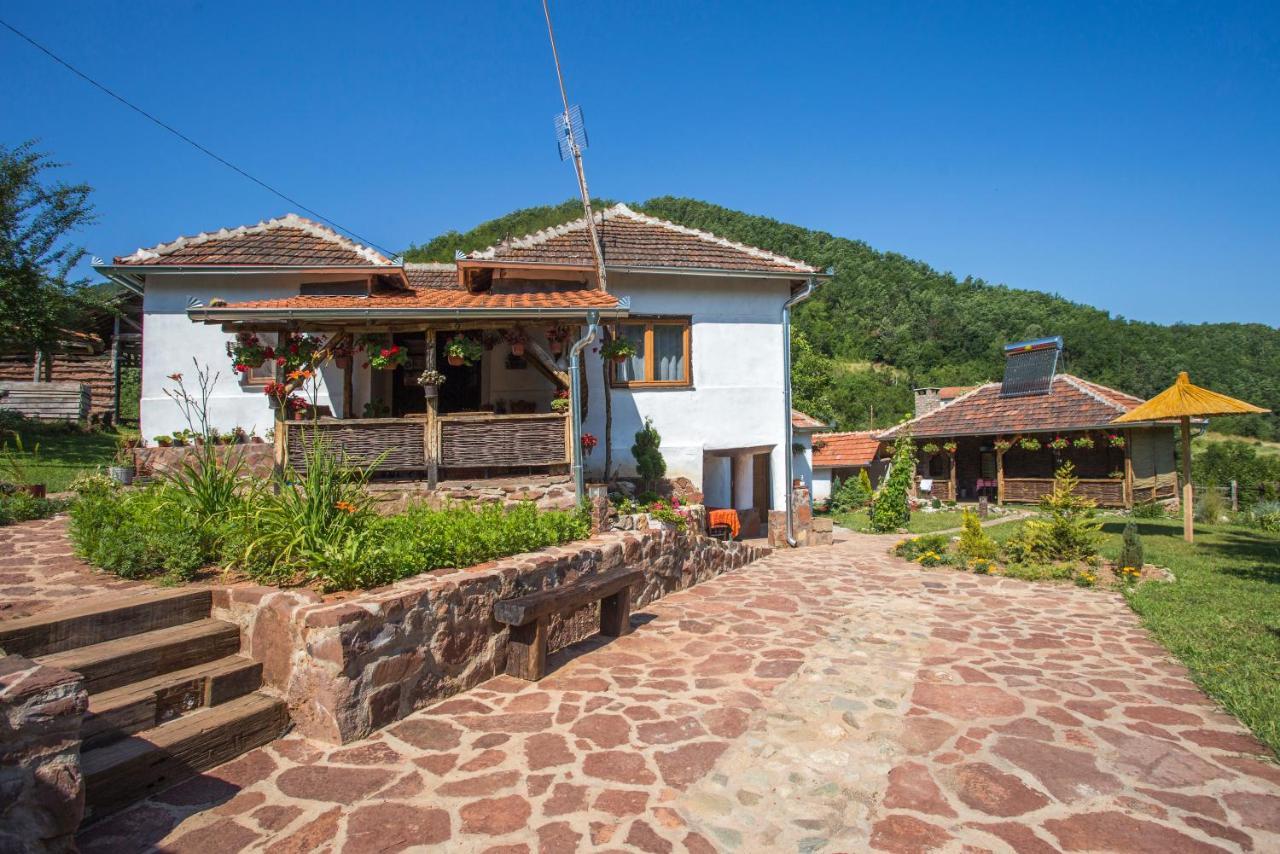 Villa Seosko Domacinstvo „Gabar” à Custica Extérieur photo