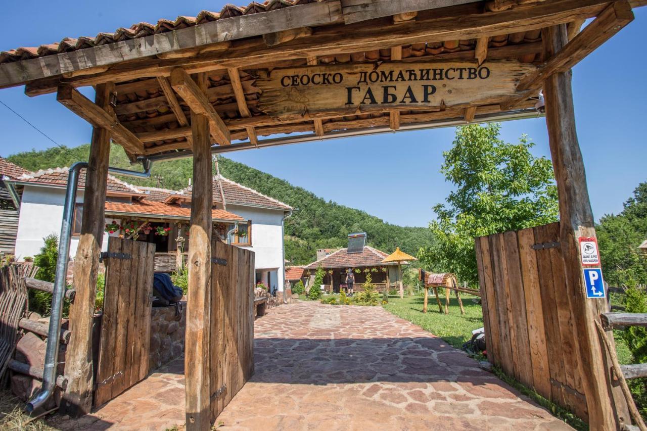 Villa Seosko Domacinstvo „Gabar” à Custica Extérieur photo