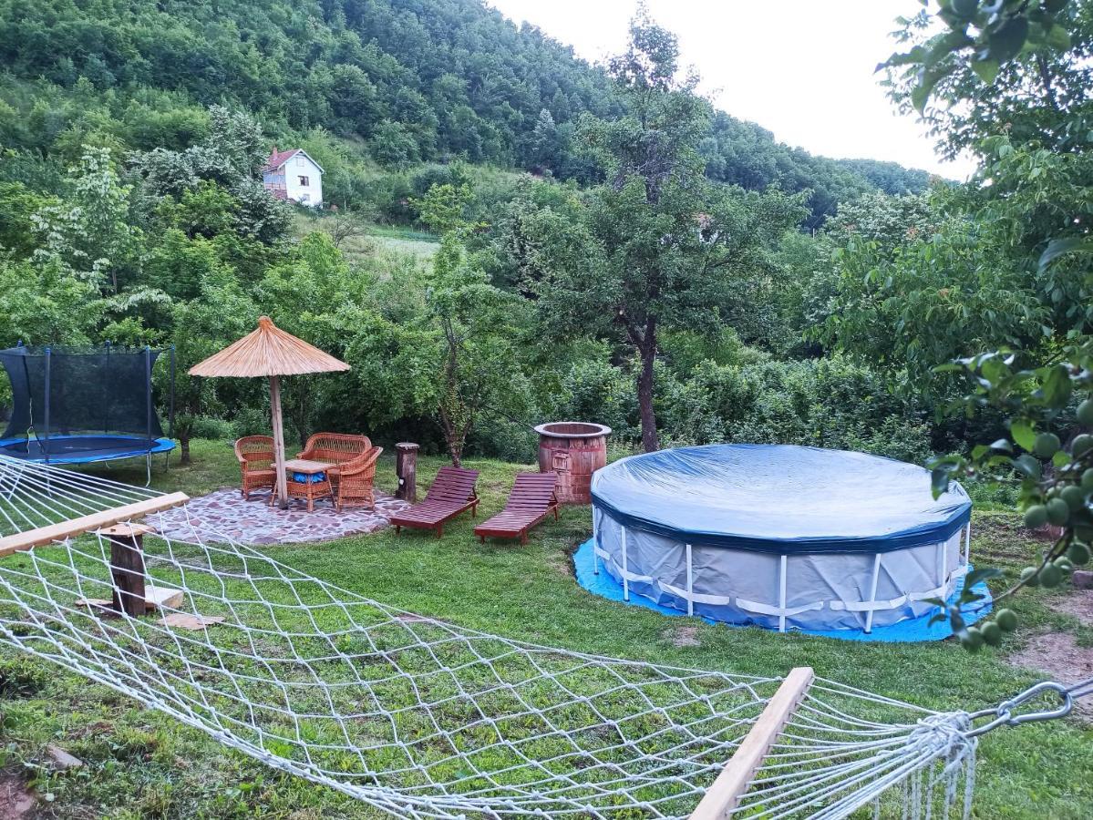 Villa Seosko Domacinstvo „Gabar” à Custica Extérieur photo