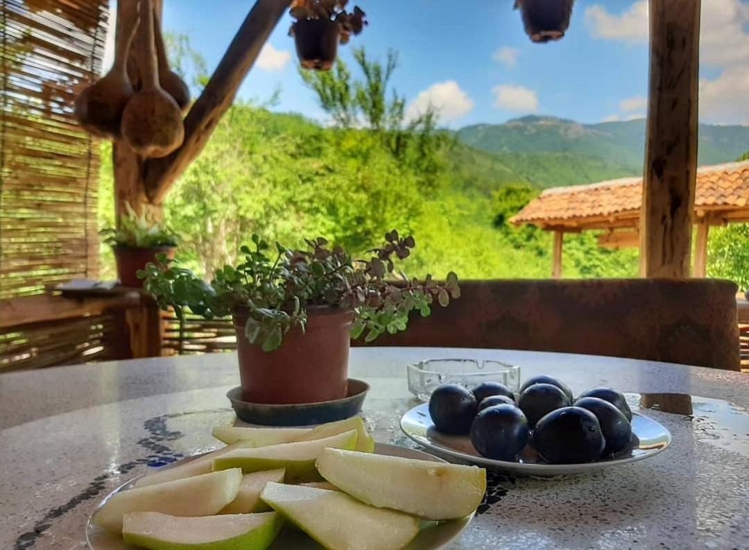 Villa Seosko Domacinstvo „Gabar” à Custica Extérieur photo